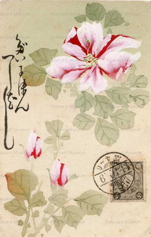 aa001-花 肉筆 明治41年切手貼