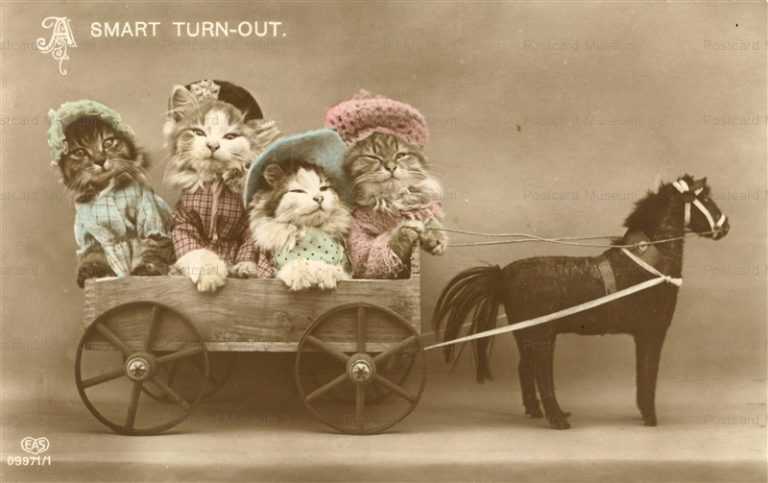 ac020-Dressed Cats on Horse Carriage