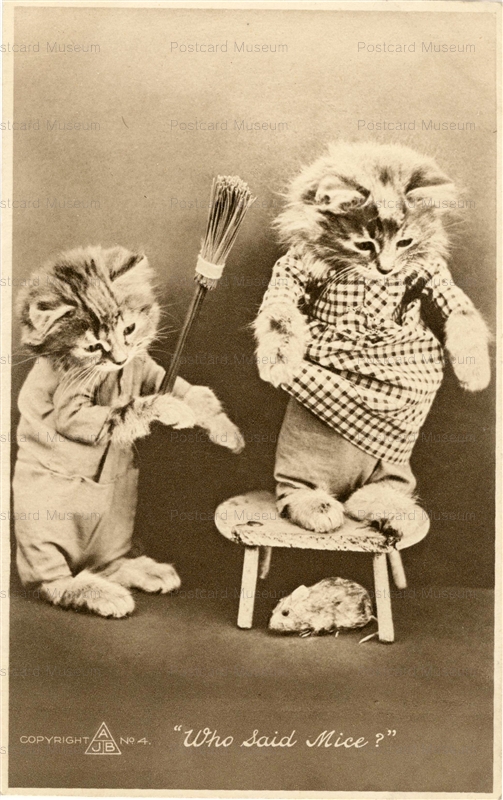 acb006-Dressed Cat affrais of Mouse Mice old 1920s Who said Mice A.J.B Nr.4