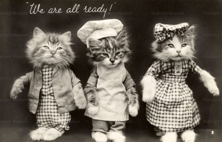 acb007-Dressed Cat CATS Ready 1930s We are all ready Mason's Alpha NO.8