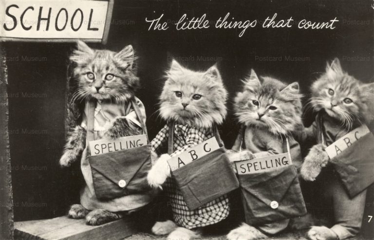 acb008-Dressed Cat go SCHOOL 1930s The little things tha count School Mason's Alpha No.7