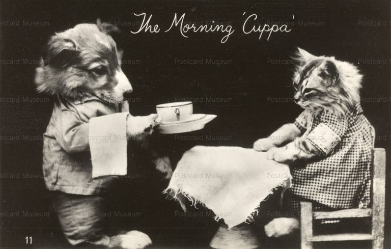 acb010-Dressed Cat w COLLIE Dog Breakfast 1930s The morning Cuppa Mason's Alpha No.11