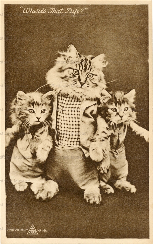 acb011-Dressed Cat wretling for PUNK FIGHT 1920s Where´s that pup A.J.B. Nr.16