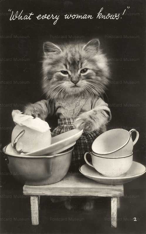 acb012-Dressed Cat1930s WASHING Dishes What every woman knours! Mason's Alpha