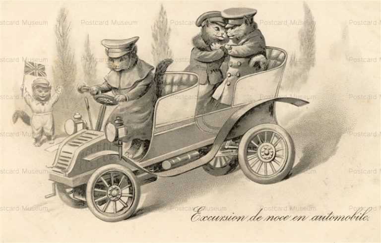 acb019-Dressed Cat AUTOMOBILE Marriage Honey Moon 1900s Excursion de noce en automobile