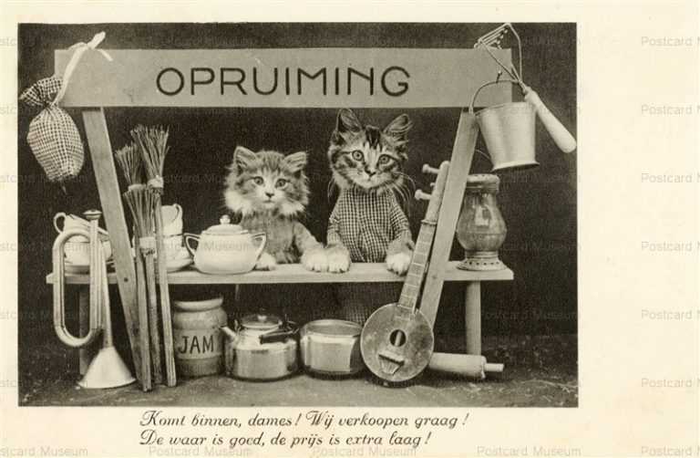 acb022-Opruiming Shop 2Cat