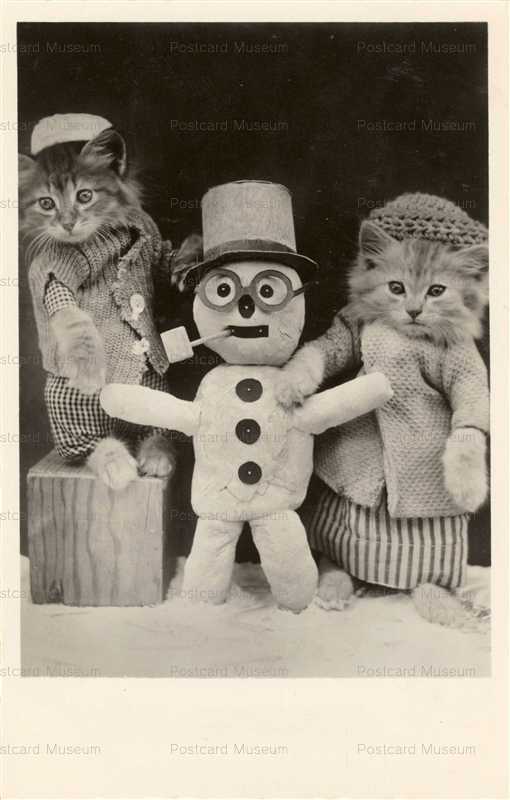 acb029-Snowman and Cats