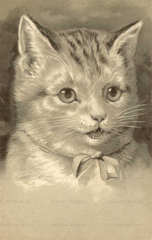 acb037-Superb embossed large Cat w bow