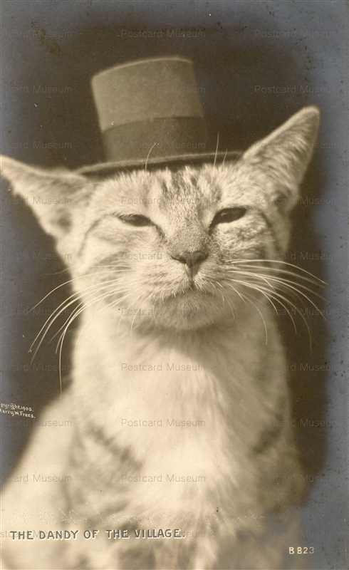 acb041-the Dandy of the Village Cat with Top Hat