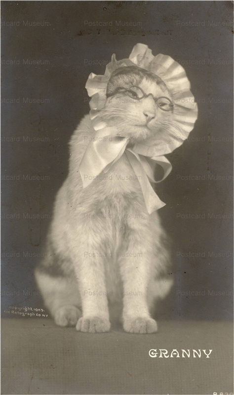 acb045-Granny 1908 B 830 Rotograph Co N. Y.