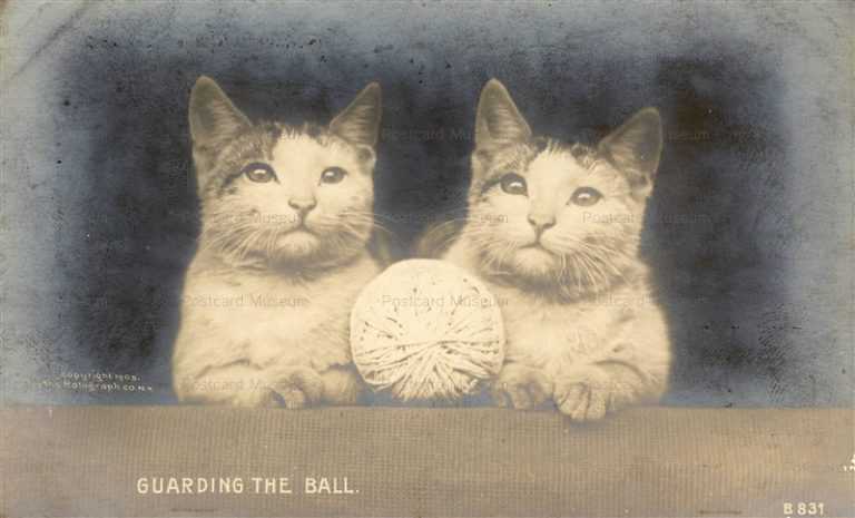 acb051-Cats Guarding the Ball Rotograph 1905