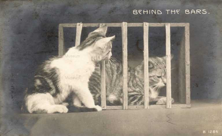 acb052-Behind the Bars Rotograph 1910 Rotograph