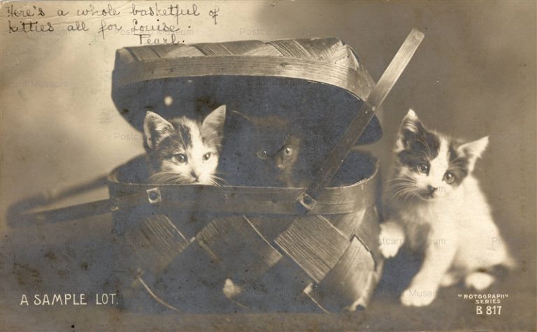 acb057-A Sample Lot 1907 B 817 Rotograph Co N. Y.