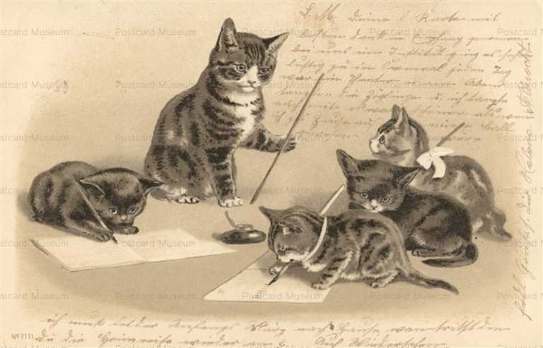 acb070-Kittens Learning to Write