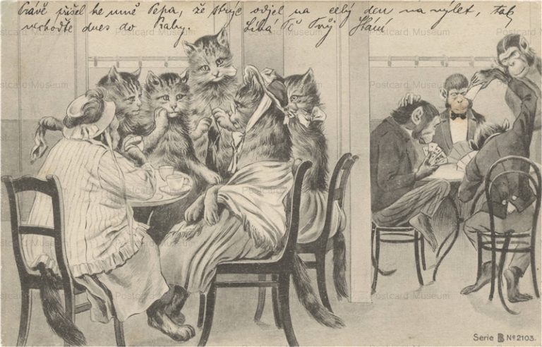 acb085-Cat Ladies & Ape Card Players G. Ser B 2103