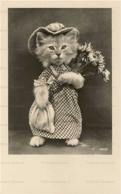 acb086-Kitten Hold Flower