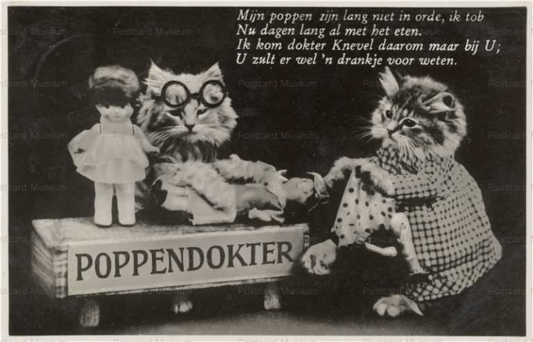 acb088-Poppendokter Cats&Doll