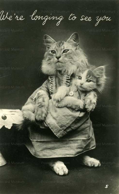 acb089-Dressed Cat Holds Baby We're Longing to See You