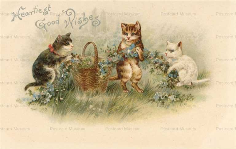 acc016-Flower w Cats