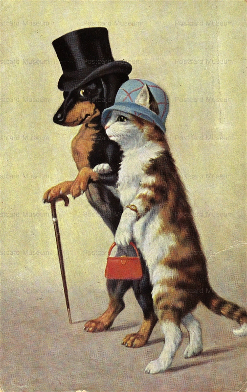acc022-DRESSED Dachshung he Dog w she Cat old 1910s A.G.Z.L.,Nr.354 1739