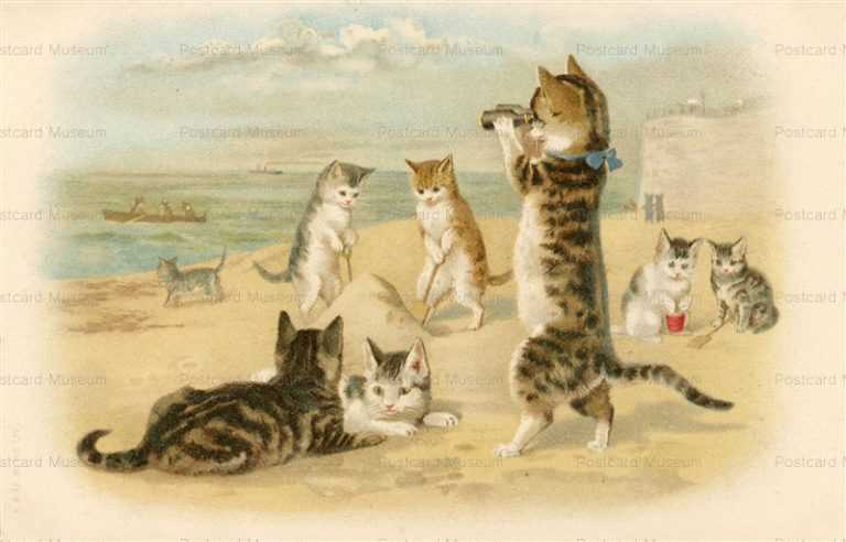 acc024-art MAGUIRE Cat in Summer Time Beach 1900s