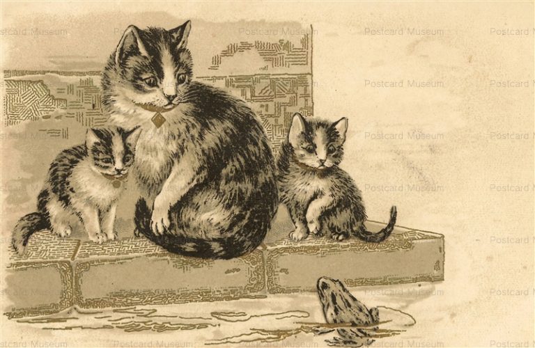 acc025-Cat affraid of FROG Toad fantasy1900s F. Beaunat, Lyon