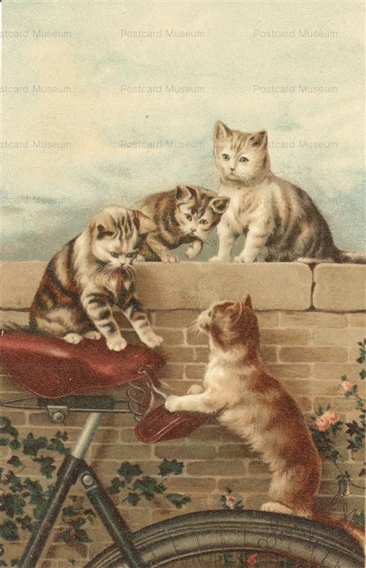 acc027-Cat on a Bicycle CYCLING Sports BIKE 1900s Kopal Nr.176