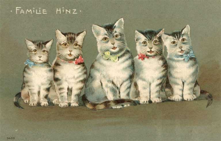 acc031-Family HINZ Cat Litho EMBOSSED