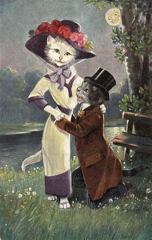 acc044-Vintage artist SCHROPLER CAT postcard moon love