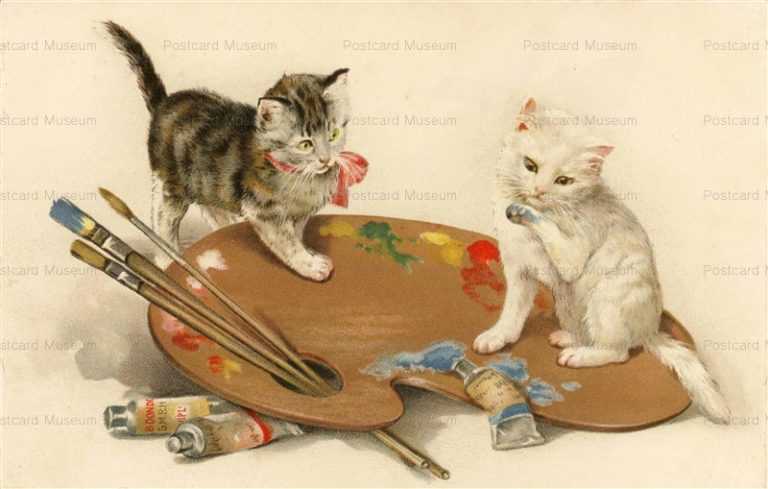 acc047-Cat on Palette