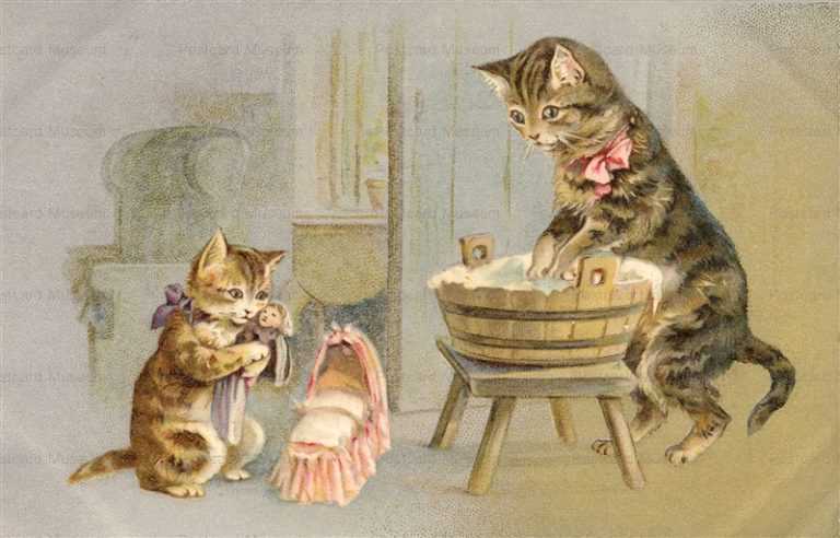 acc083-Cat Wildt & Kray Rare 1905