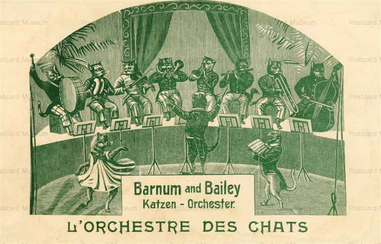 acc084-CIRCUS Barnum & Bailey CAT Music Band old 1900
