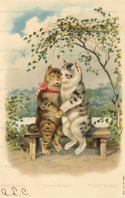 acc089-Very cute Valentines Greetings Postcard Pair of CatsGerman 1906