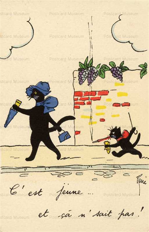 acc101-RENE Too young to know Collection Chats Rene n56