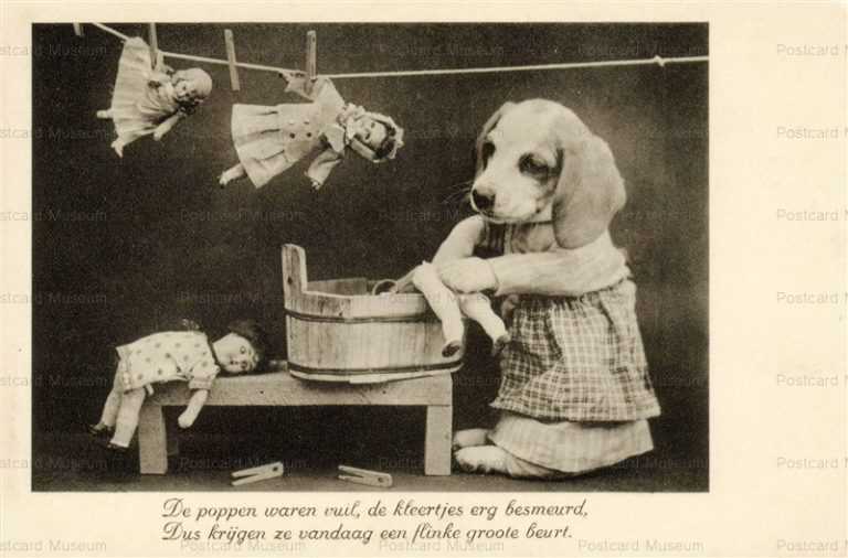 adb008-Dog Wash Doll