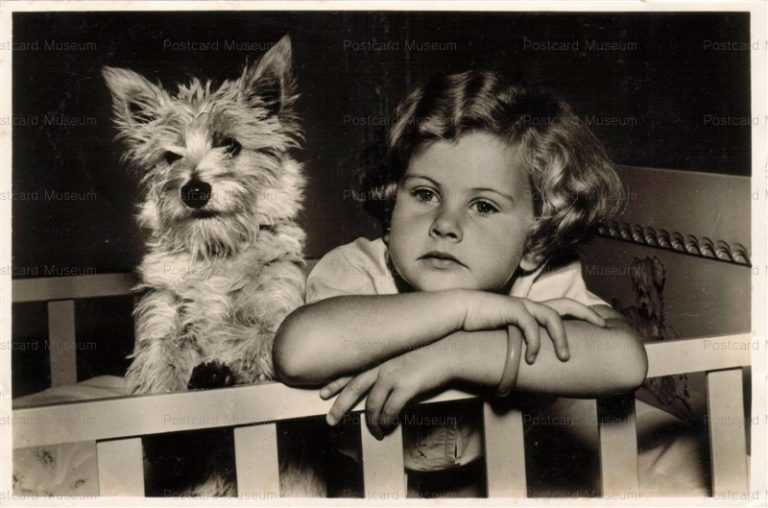 adb013-Norwich Terrier Dog with Baby