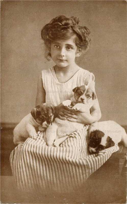 adb014-Jack Russell Fox Terrier Girl Pups Lap Old Dog