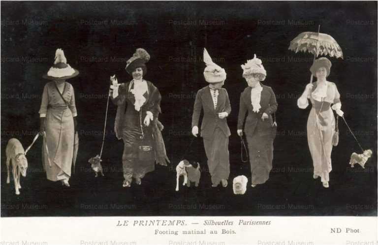 adb017-French Paris Fation Dog Spring a Morning Walk in the Bush