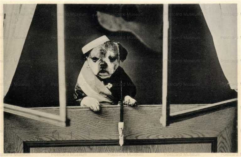 adb020-Dressed Bulldog French Diplomat