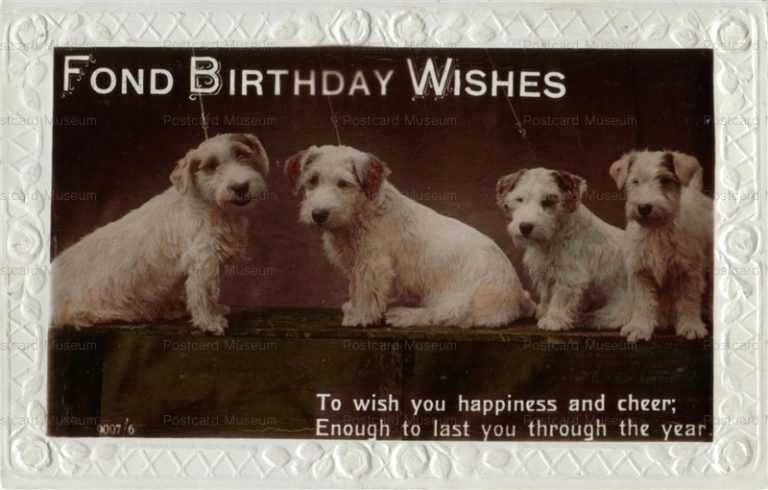 adb026-Sealyham Terrier Group Old Dog Greeting