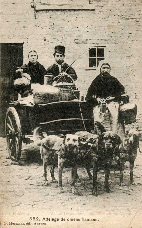 adb033-Dog Milkcar Laitiere Flamande Bruxelles PC