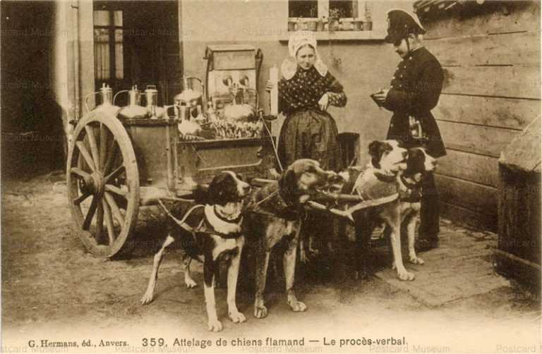 adb034-Dog Milk Cart Policeman