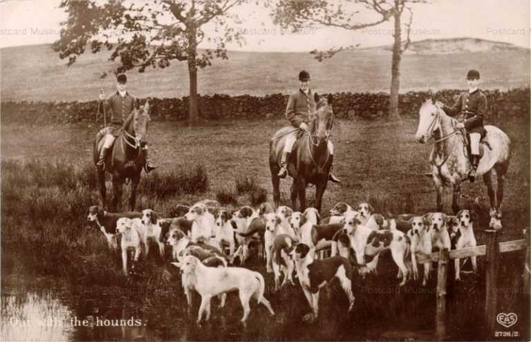 adb037-Out with the Hounds Sports Dog