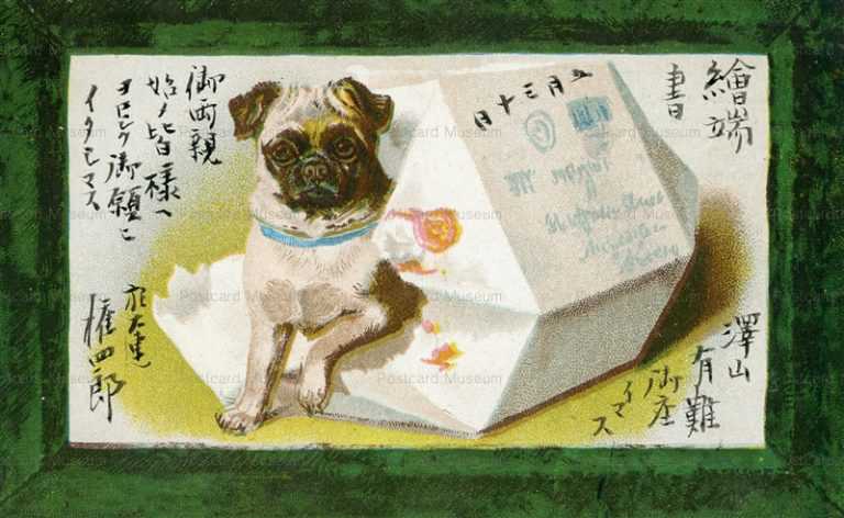 adc-210-Bug Dog from the Box