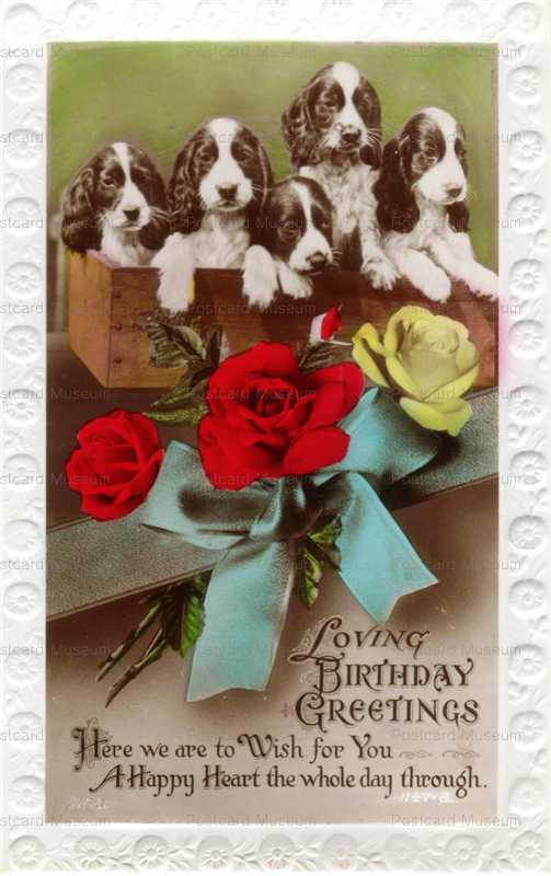 adc002-4Cocker Spaniel Pups in a Box Birthday Greeting