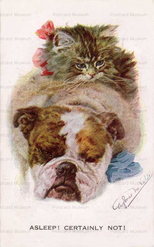 adc005-Bulldog and Kitten Valter