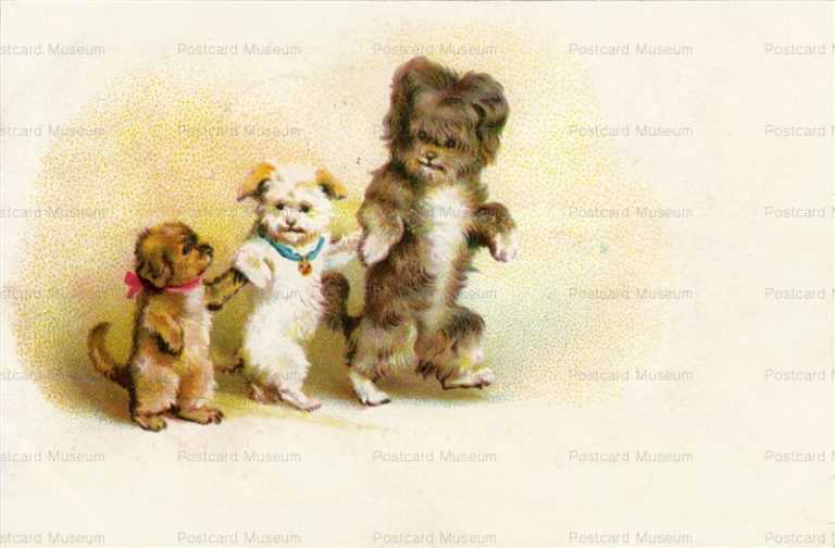 adc007-Cairn Terrier 3Dog Friends Dancing