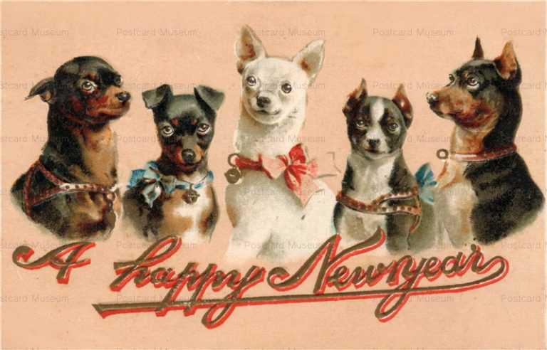 adc019-5Dogs Happy New Year