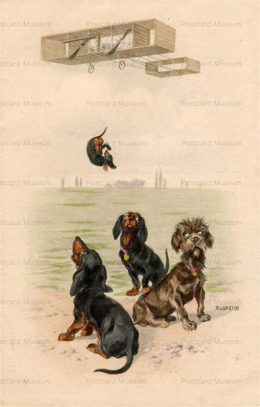 adc024-Dahschund Dog Airplane Artist R Ulreich Vintage M M Vienne M Munk
