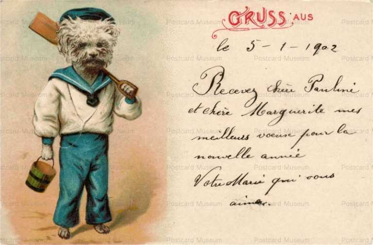 adc027-Bichon Frise Dressed Dog Gruss aus